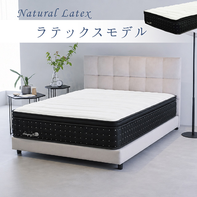 ラテックスモデル